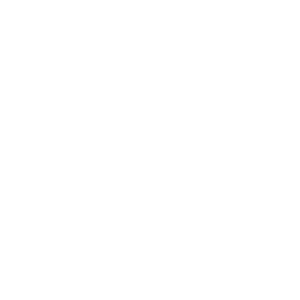 Anfini Inc.